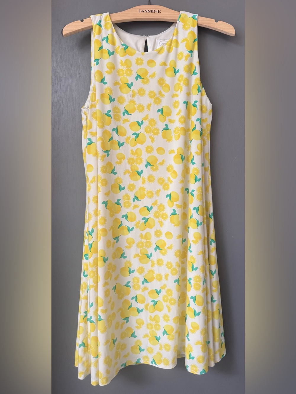 Pappagallo Sz M Lemon-Print Dress in Yellow, Green & White